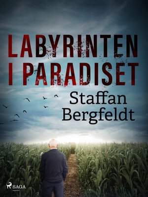 cover image of Labyrinten i paradiset